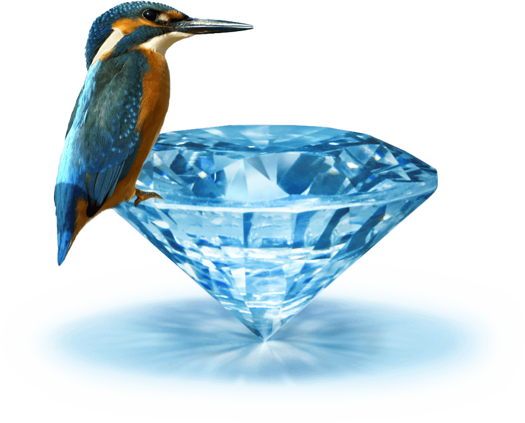 Eisvogel egf